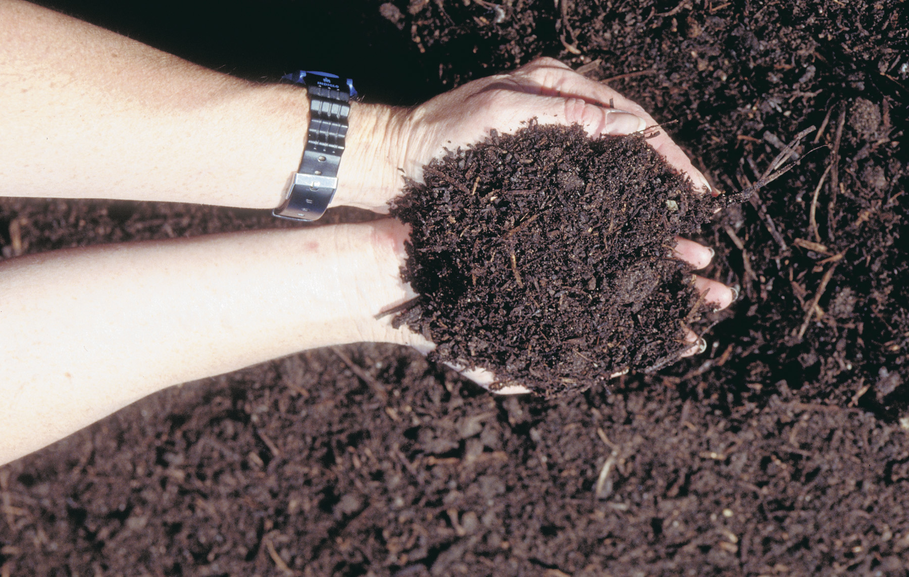 0369067_Composting