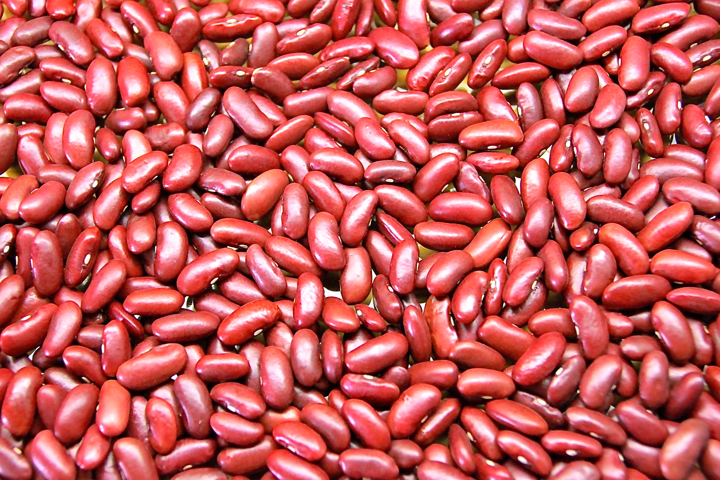 Red-kidney-beans-2