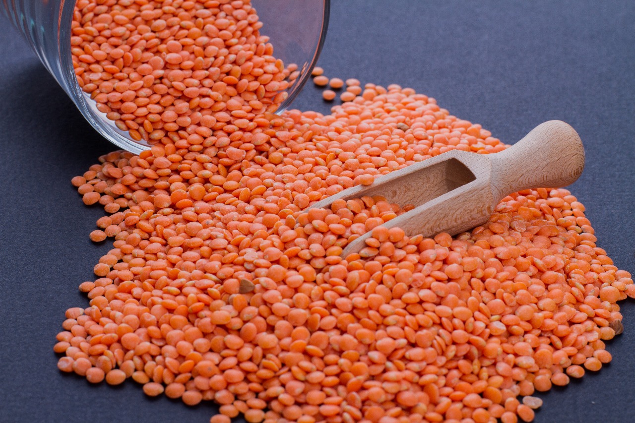 WhatsApp Image 2025-12-28 at 4.16.45 AM