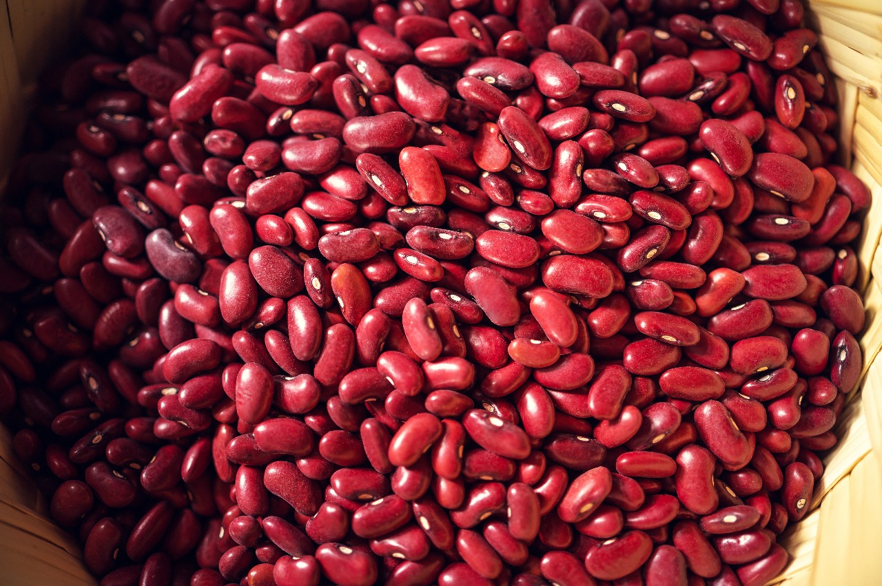 WhatsApp Image 2025-12-28 at 4.16.47 AM